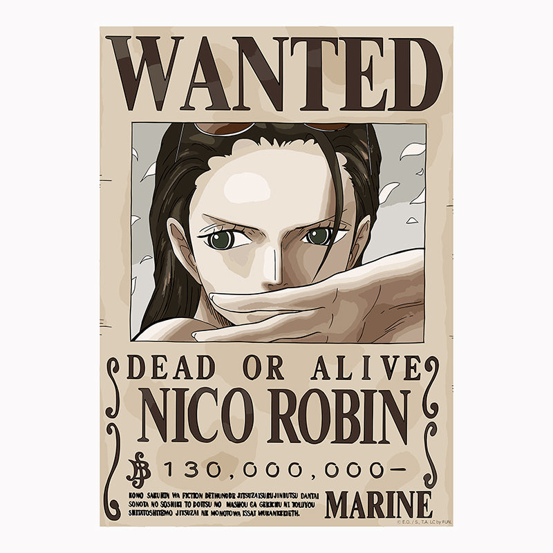 Tableau décoratif - Robin 42-30 cm vinyle mat