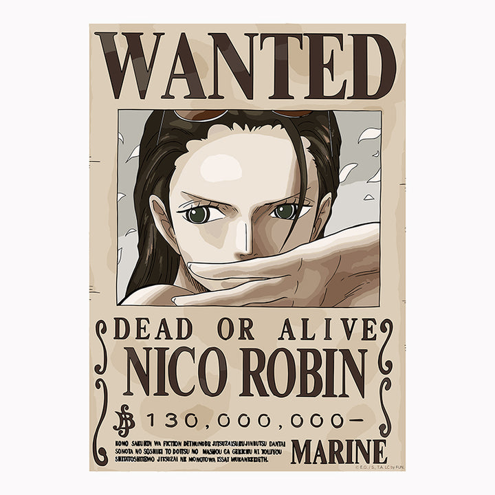 Tableau décoratif - Robin 42-30 cm vinyle mat