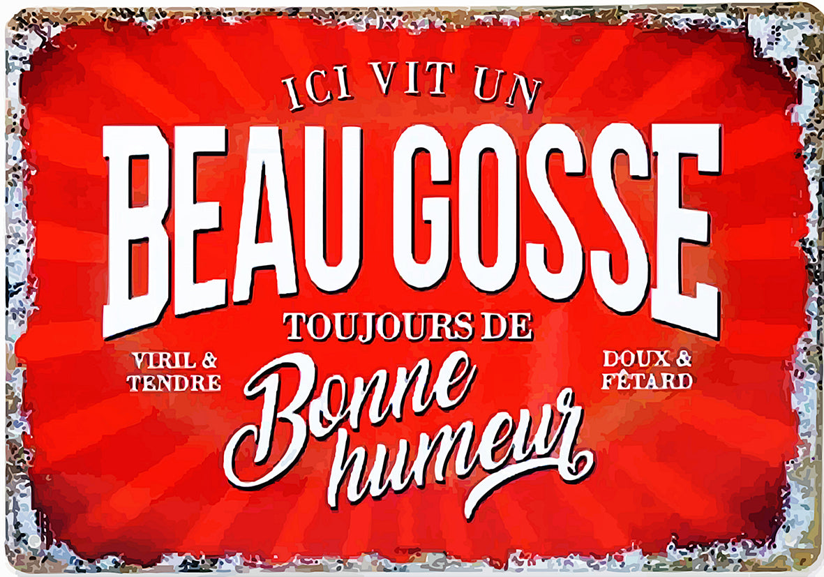 Tableau décoratif - plaque 21 x 30 cm - beau gosse